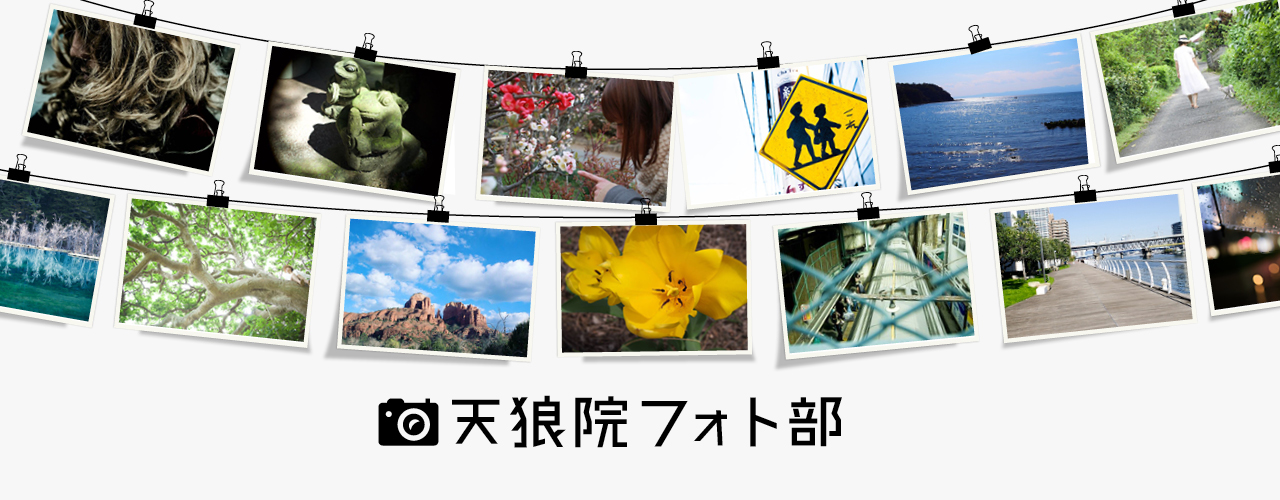 フォト部