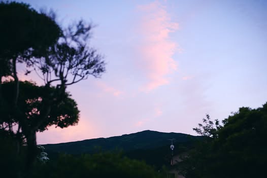 生クリームはもったりぐらいで