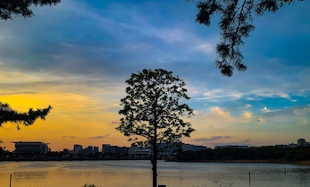 夕暮れのシルエット写真
