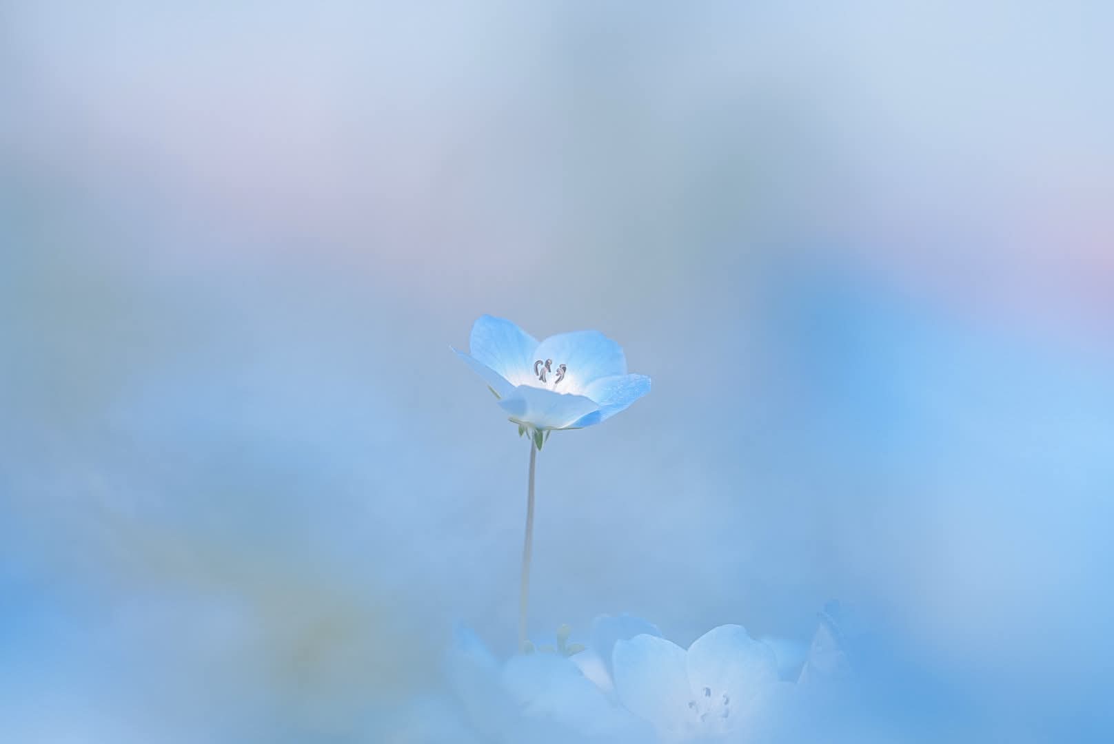 作例2