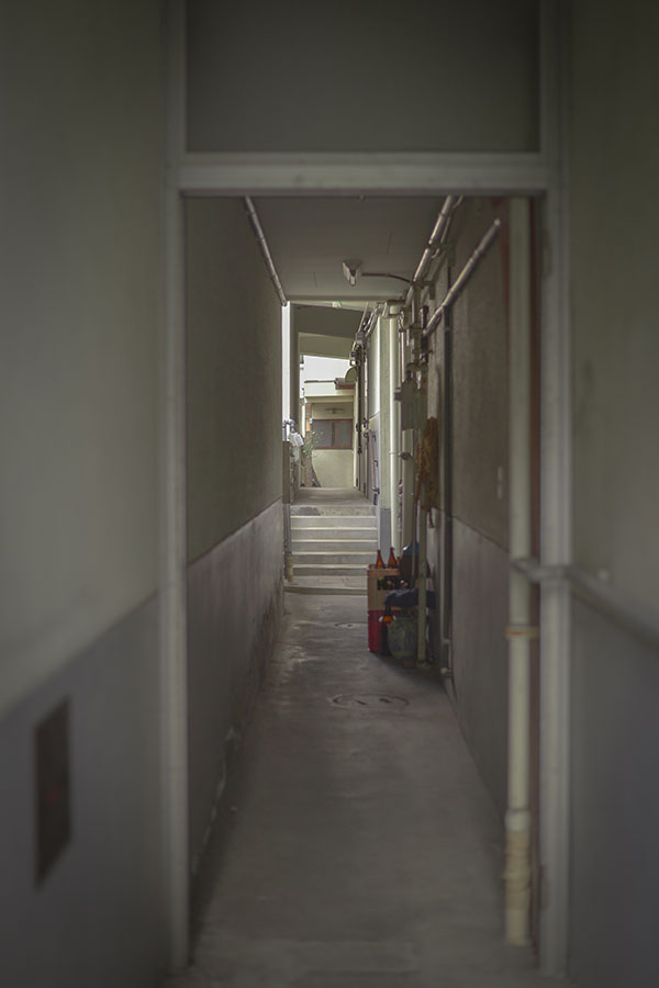  calmly sky の写真